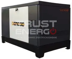 Газовый генератор Genese Pro 22000 T Neva кожухе В кожухе Subaru EH99 trustenergo.ru